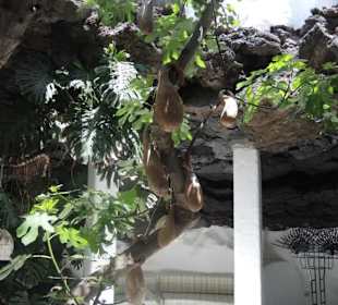 Fundacion Cesar Manrique Impression