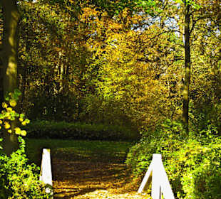 Парк Замка Ойтин.Золотая осень.