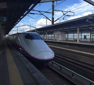 Bahnhof mit Shinkansen