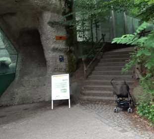 Tierpark Hellabrunn - Polarwelt