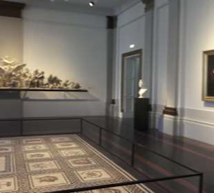 Albertinum