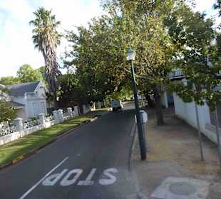 Weingebiet Stellenbosch