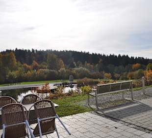 Feng Shui Park in der Nähe