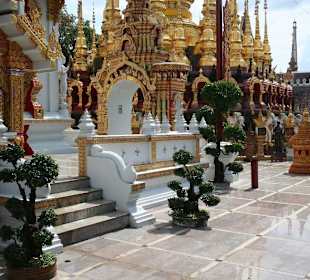 Wat Sri Rong Muang