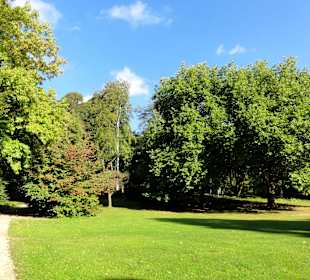 Herbstspaziergang durch Knoops Park