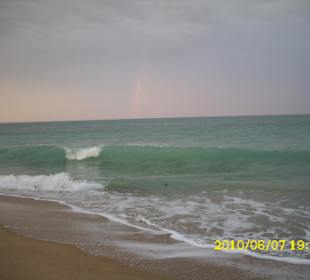 Regenbogen