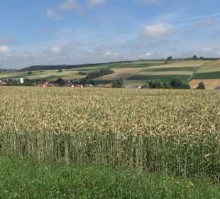Burgruine Niederhaus