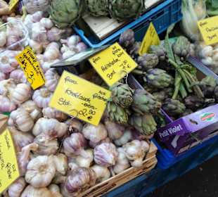 Rundgang durch die Markthalle am Carlsplatz