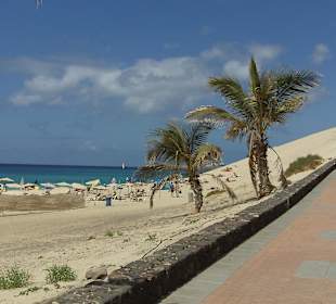 Strand und Düne in Morro Jable