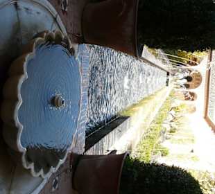 Dettaglio del giardino