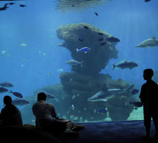 Panoramablick auf den Big Blue