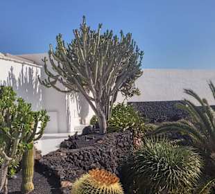 Garten und Außenanlage