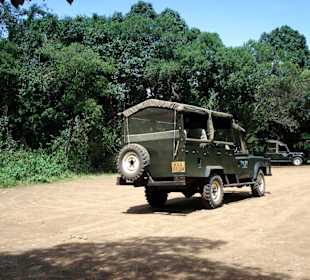 Die Landcruiser des Governors Camp