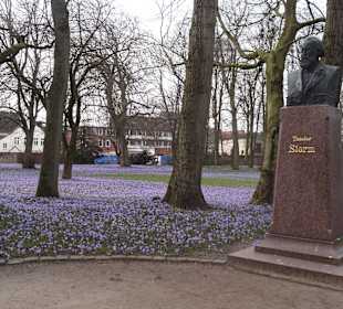 Die Theodor Storm Büste im Park