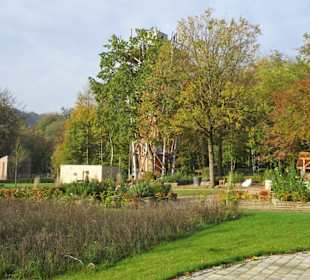 Rundgang durch den Kurpark Bad Iburg