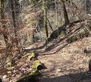 Fürstlicher Park Inzigkofen