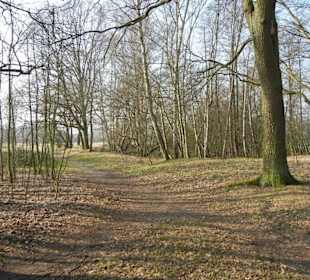 Wunderschöne Boberger Niederung