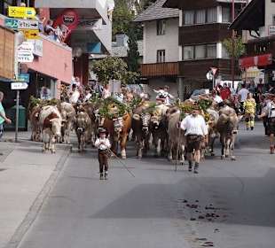 Es werden immer mehr !!