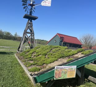 Clark's Elioak Farm