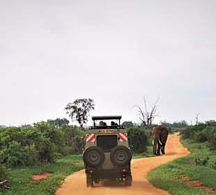 Tsavo Ost Nationalpark
