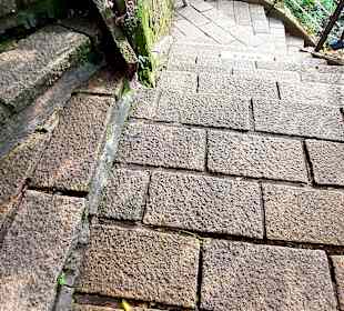 Elephant Mountain Xiangshan Hiking Trail