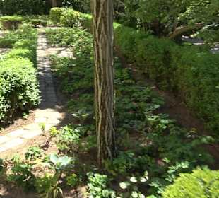 Rosengarten Nördlingen