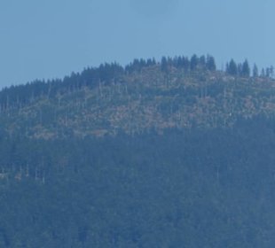 Bei unserer Wanderung zur Harlachberger-Spitze