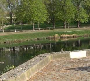 Unterer Schlossgarten Stuttgart