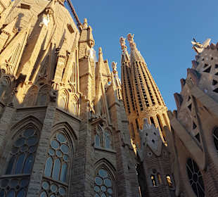 Katedra Sagrada Familia