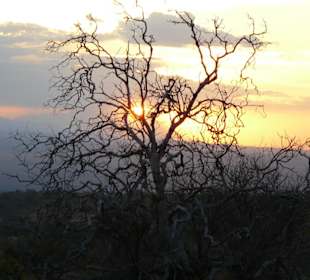 Sonnenuntergang im Tsavo Ost