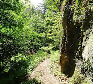 Wanderung durch die Kleine Luxemburger Schweiz
