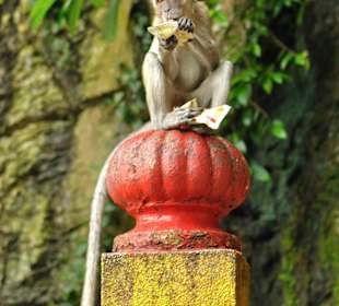 Batu Caves