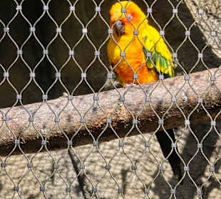 Süßer kleiner Kerl