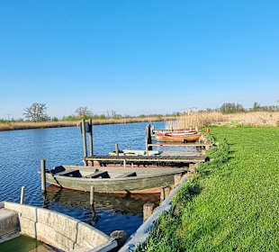 An der Peene 