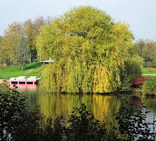 Rundgang um den Charlottensee in Bad Iburg