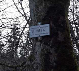 Schönbuch Schaichtal