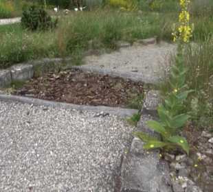 ALB-GOLD Naturgarten