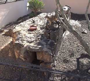 Guinitate Tropical Park