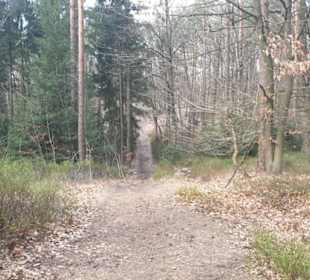 Fischbecker Heide Wanderwe 6