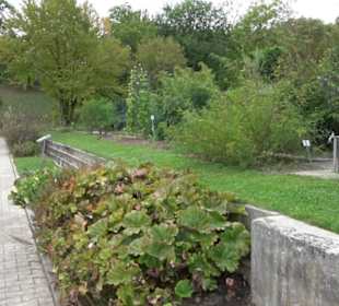 System der Pflanzen