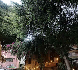 Altstadt Rhodos Stadt
