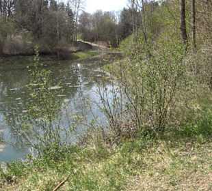 Totenbachsee