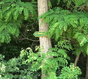 Kreuzweg zum Tannenrain