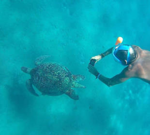 Sharm el Arab Schnorcheln Ausflug von Hurghada