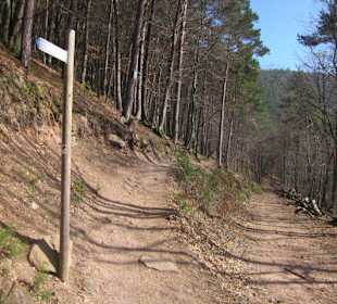 Weg zur Burg Neuscharfeneck