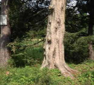 Wanderparkplatz Braikestal