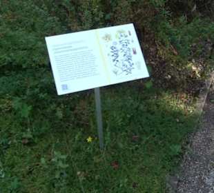 Botanischer Garten München