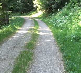 Teufelskanzelsteig Bad Griesbach