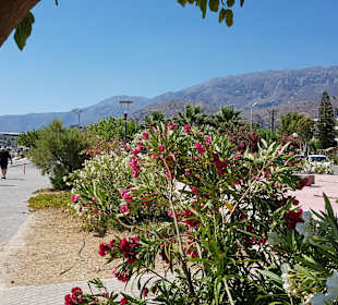 Strand Georgioupolis