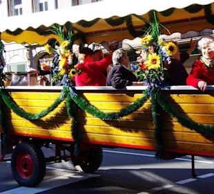 Bierführerverein 1892 Fürth Fußgruppe 2Pferdegesp.